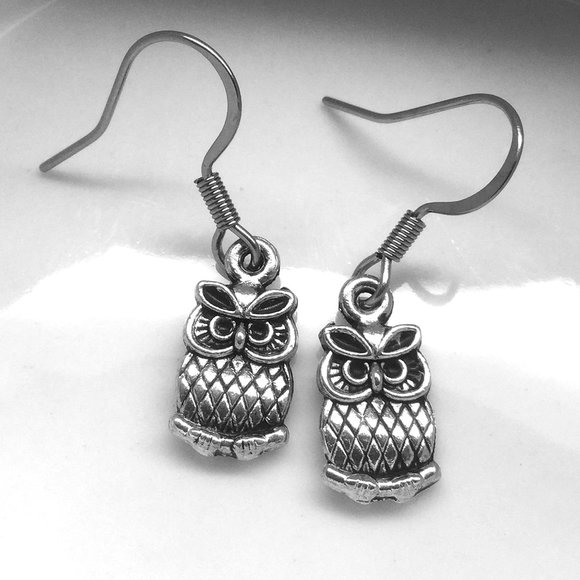 Miniature Tiny Cute Owl Owl Lovers Hypoallergenic Ear hooks Earrings - Picture 1 of 2